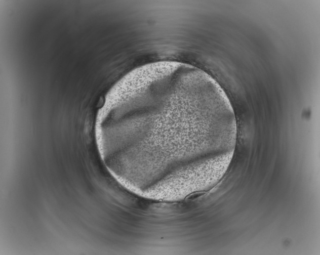 X0000097630082200803211819