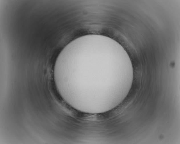 X0000097630083200803211819