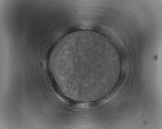 X0000097630084200803211819