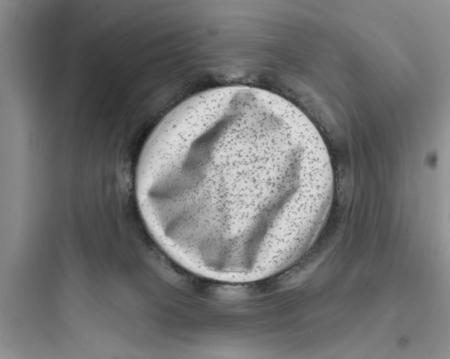 X0000097630085200803211819