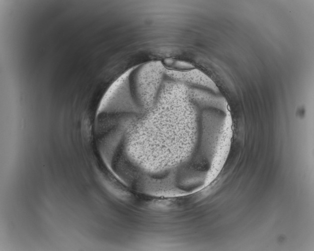 X0000097630086200803211819