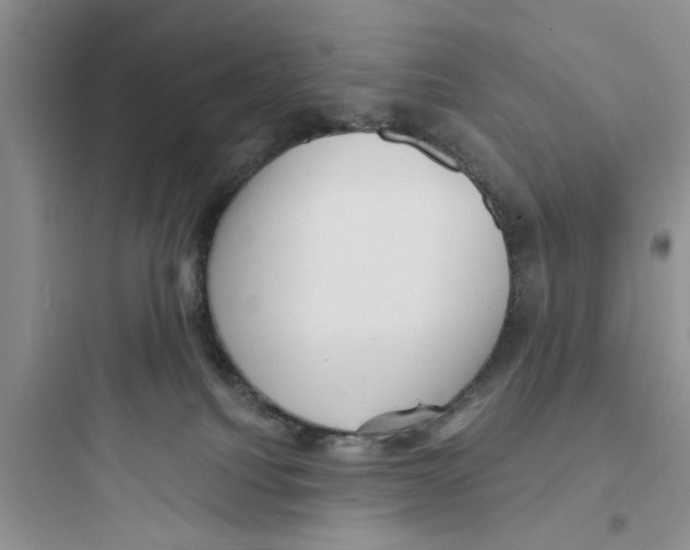 X0000097630088200803211819