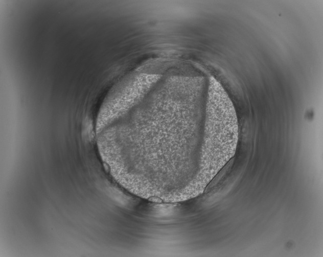 X0000097630089200803211819