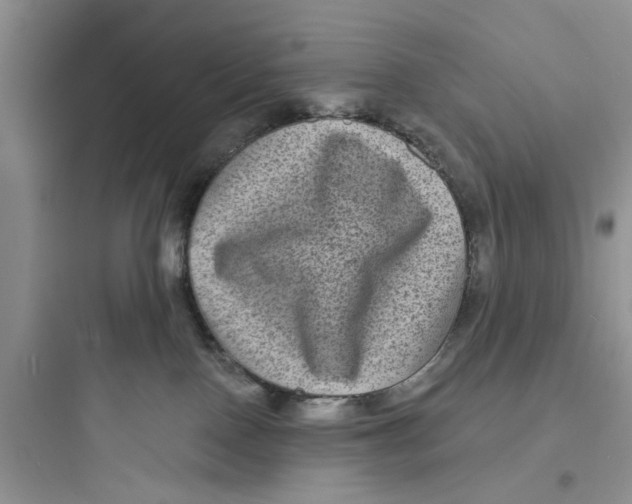 X0000097630090200803211819