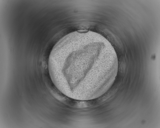 X0000097630091200803211819