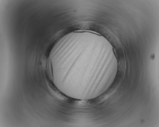 X0000097630092200803211819