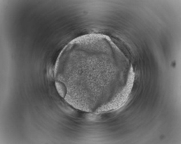 X0000097630094200803211819