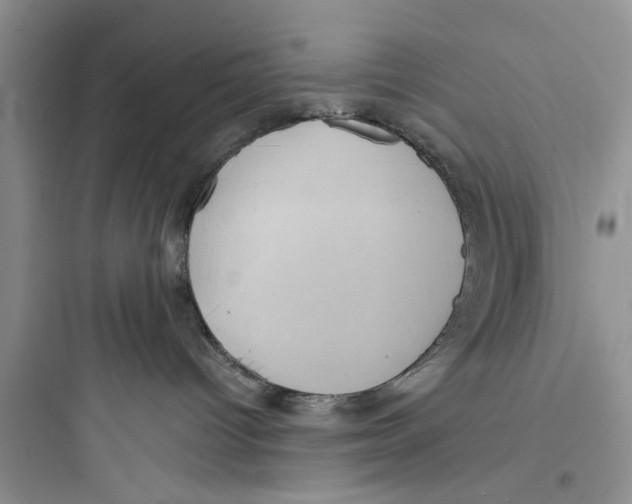 X0000097630096200803211819