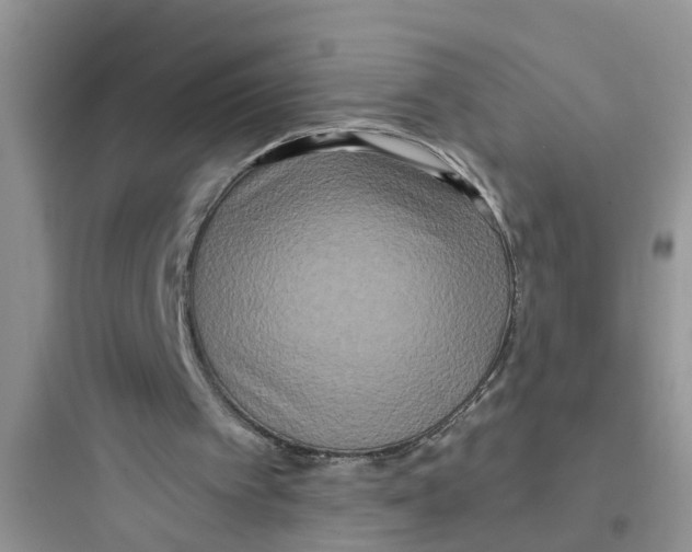 X0000097630097200803211819