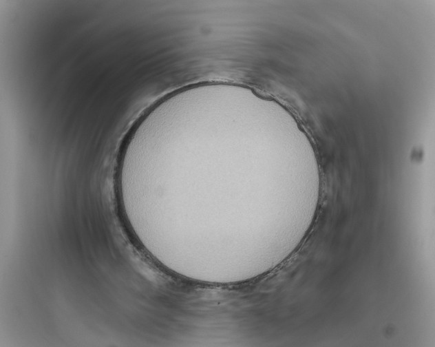 X0000097630098200803211819