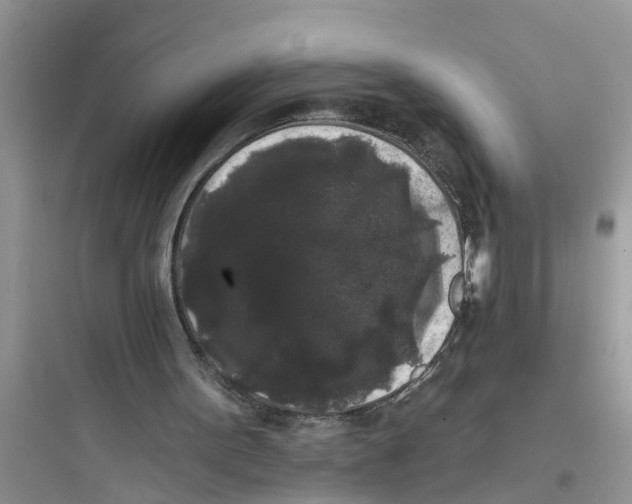 X0000097630099200803211819