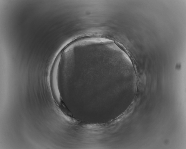 X0000097630100200803211819