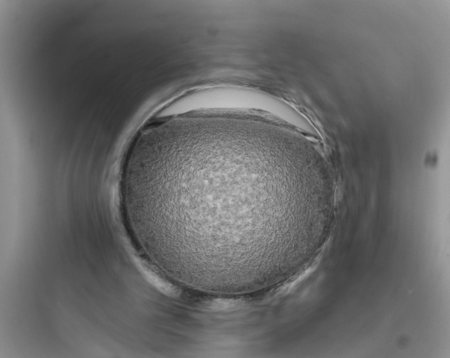 X0000097630101200803211819