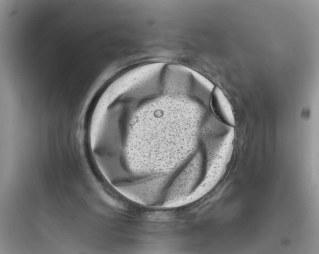 X0000097630102200803211819