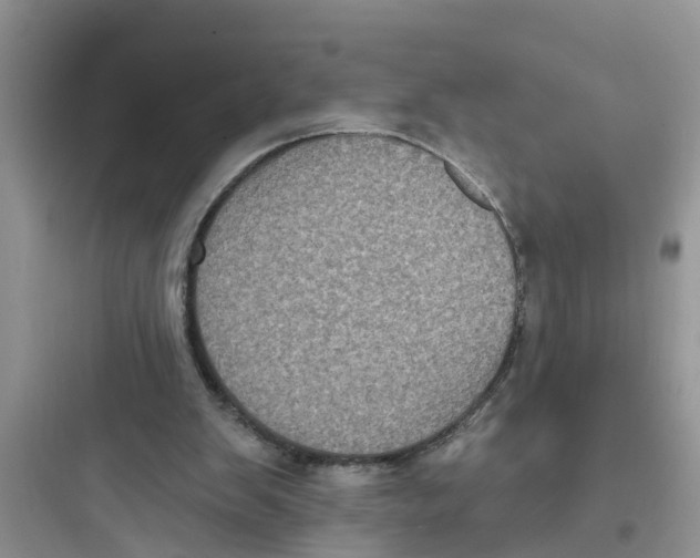 X0000097630103200803211819