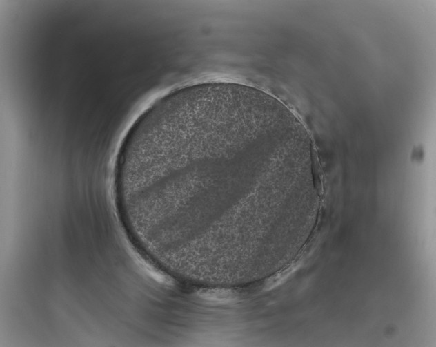 X0000097630104200803211819