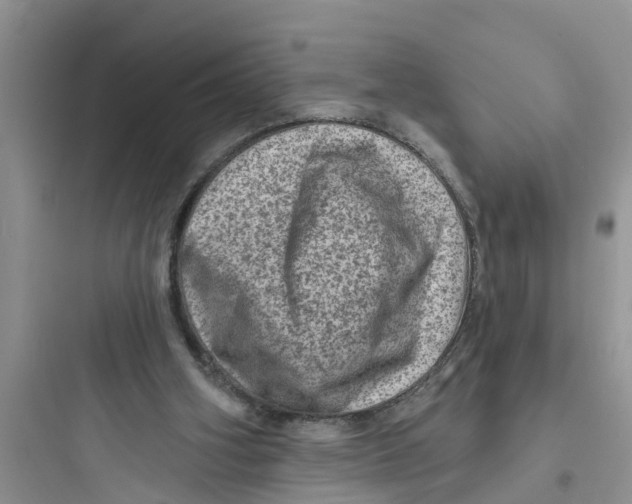 X0000097630106200803211819