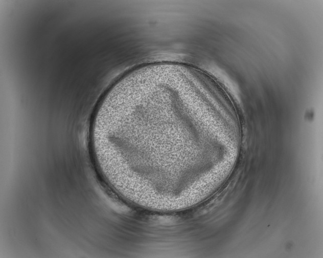 X0000097630107200803211819