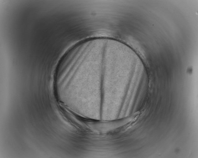 X0000097630108200803211819