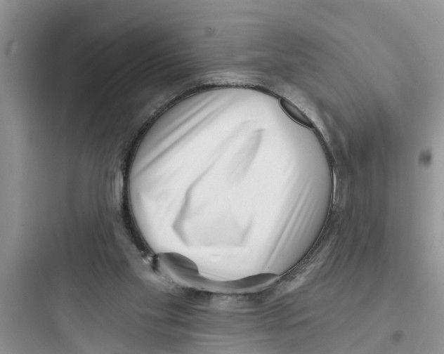 X0000097630109200803211819