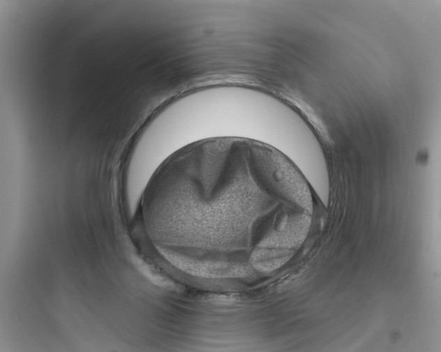 X0000097630110200803211819