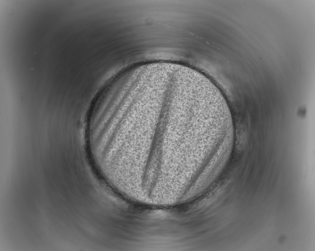 X0000097630111200803211819