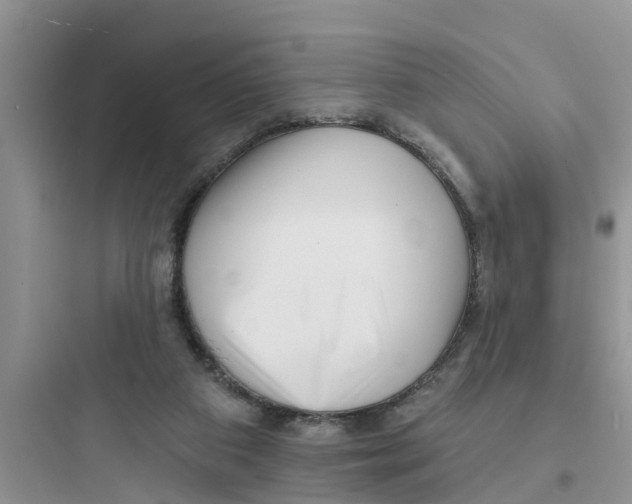 X0000097630113200803211819