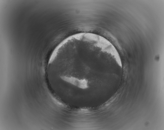 X0000097630114200803211819