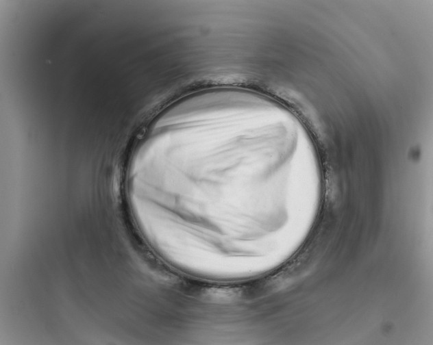 X0000097630115200803211819