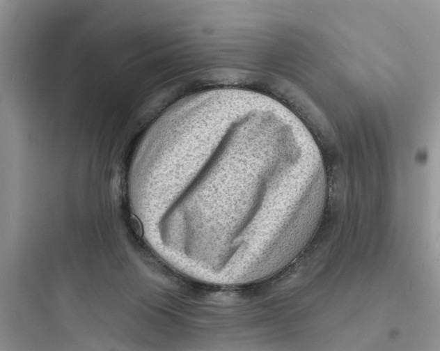 X0000097630119200803211818