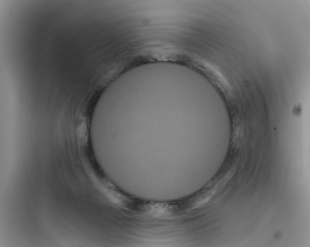 X0000097630121200803211818