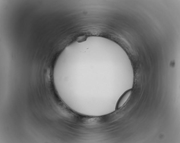 X0000097630122200803211818