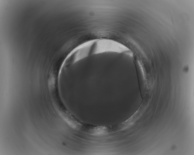 X0000097630124200803211818