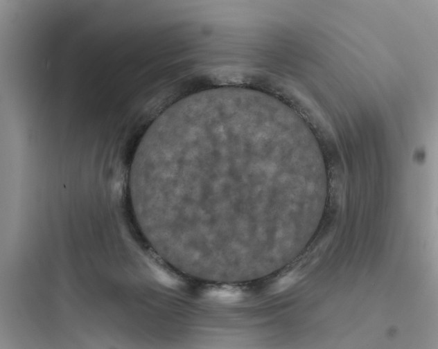 X0000097630125200803211818