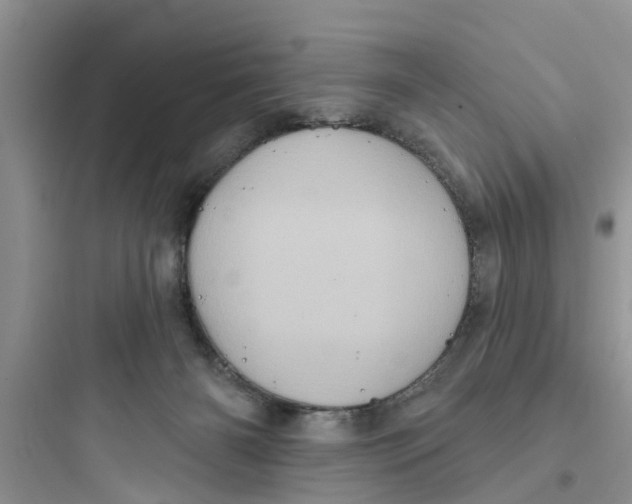 X0000097630126200803211818