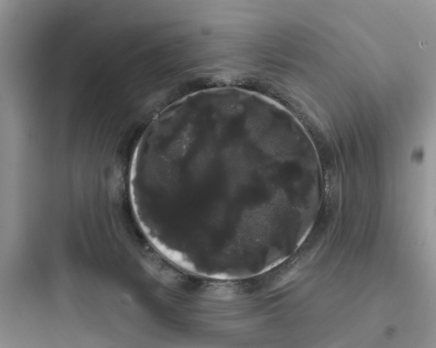 X0000097630127200803211818