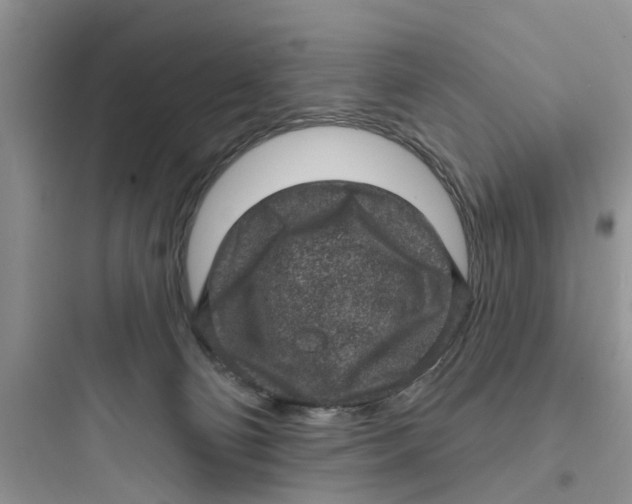 X0000097630130200803211818