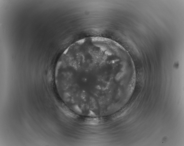 X0000097630131200803211818