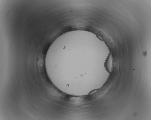 X0000097630133200803211818