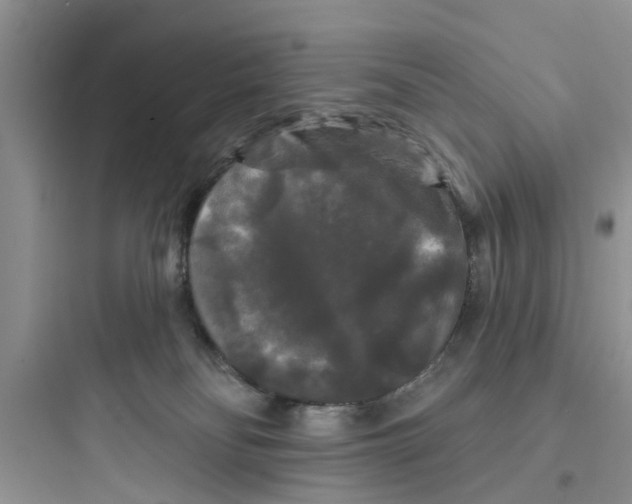 X0000097630134200803211818