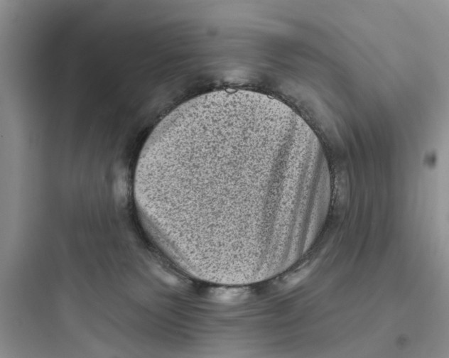 X0000097630135200803211818