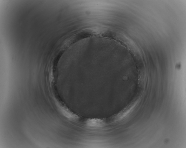 X0000097630137200803211818