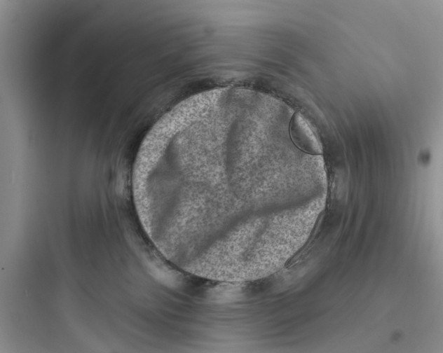 X0000097630138200803211818