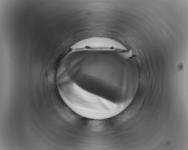 X0000097630139200803211818