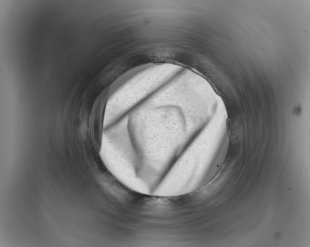 X0000097630140200803211818