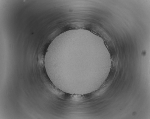 X0000097630141200803211818