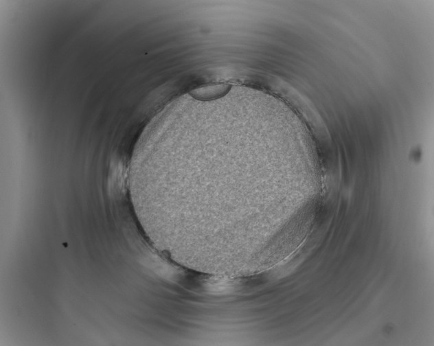 X0000097630142200803211818