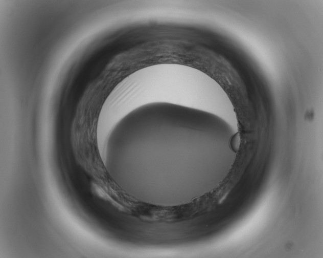 X0000097630143200803211818