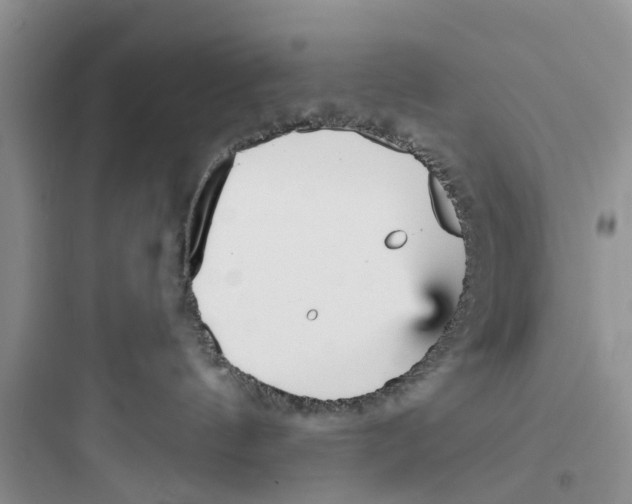 X0000097630144200803211818