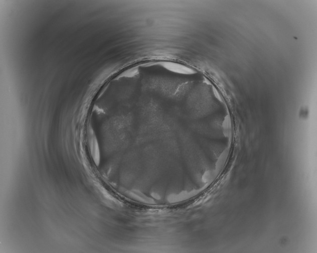 X0000097630145200803211817